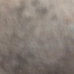 Meet your Posher, Darius